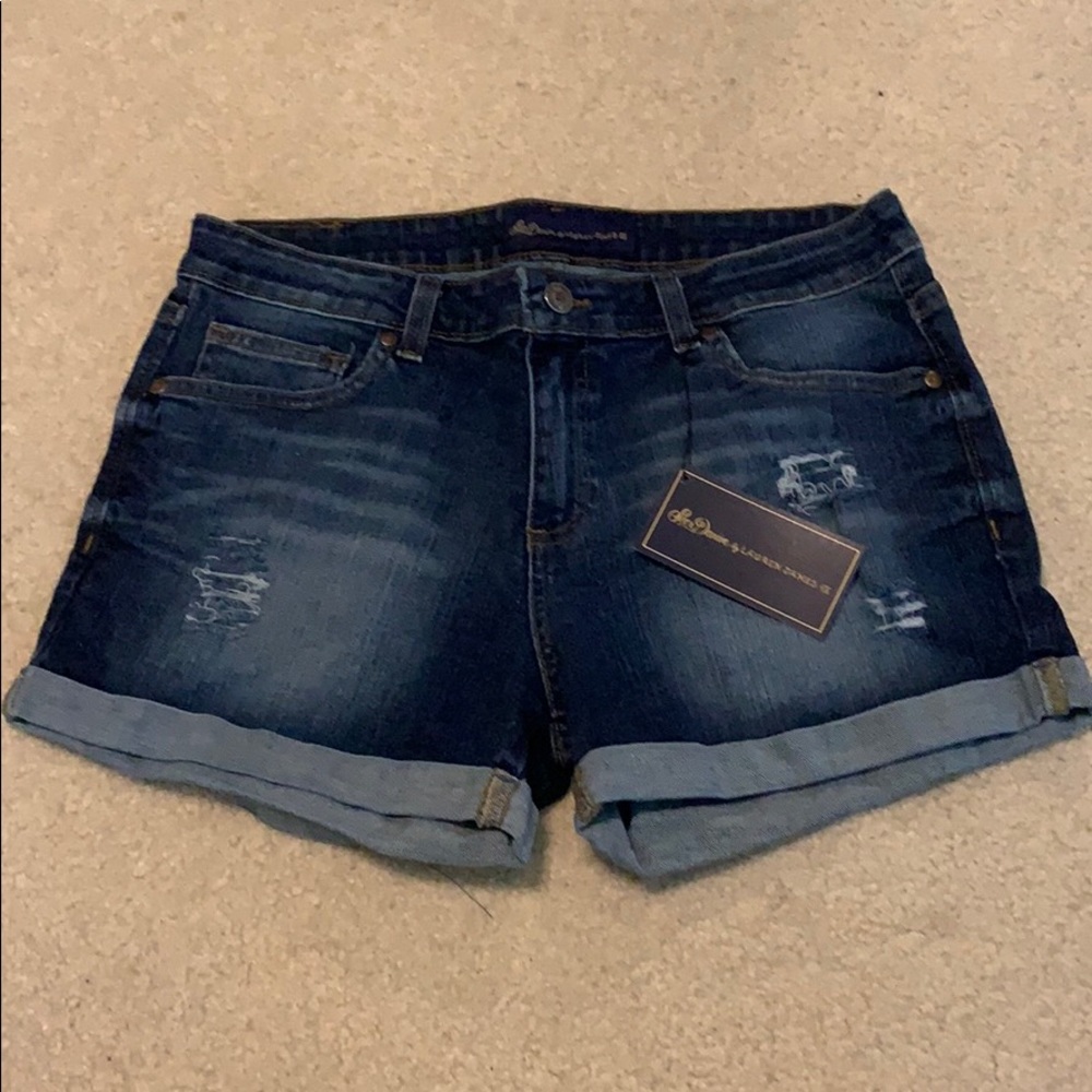 Lauren James Denim Jean Shorts